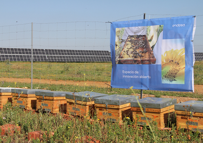 Foto Miel solar de Endesa®, denominación de origen certificada.